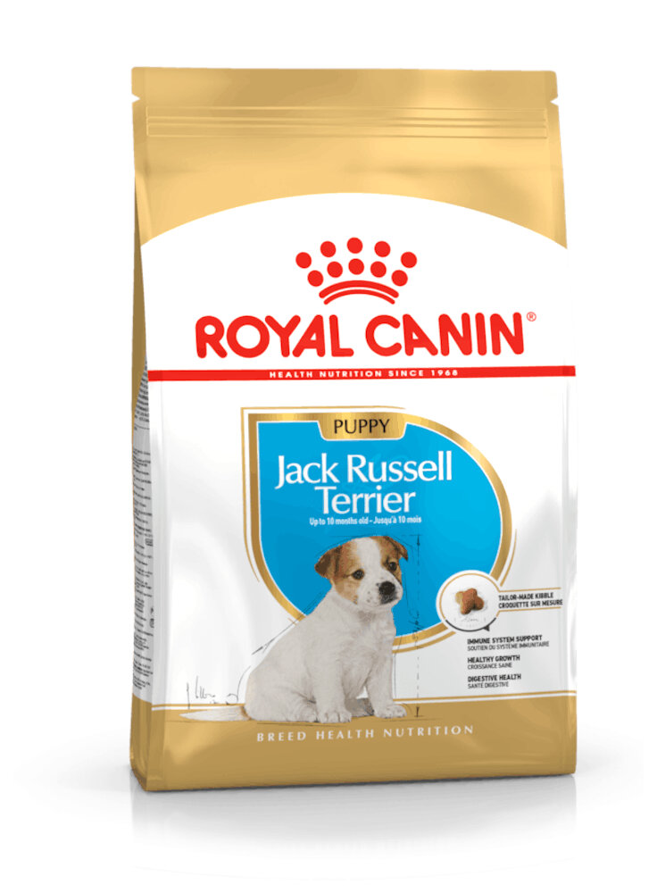 Jack Russell puppy Royal Canin
