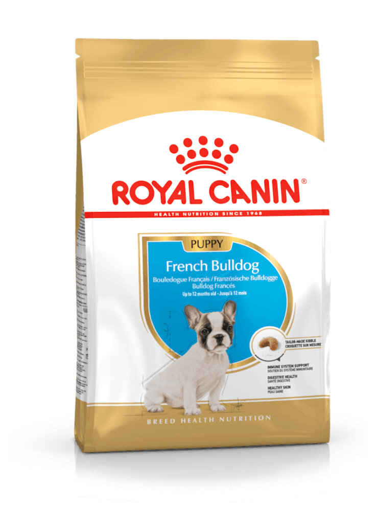 French Bulldog Puppy Royal Canin