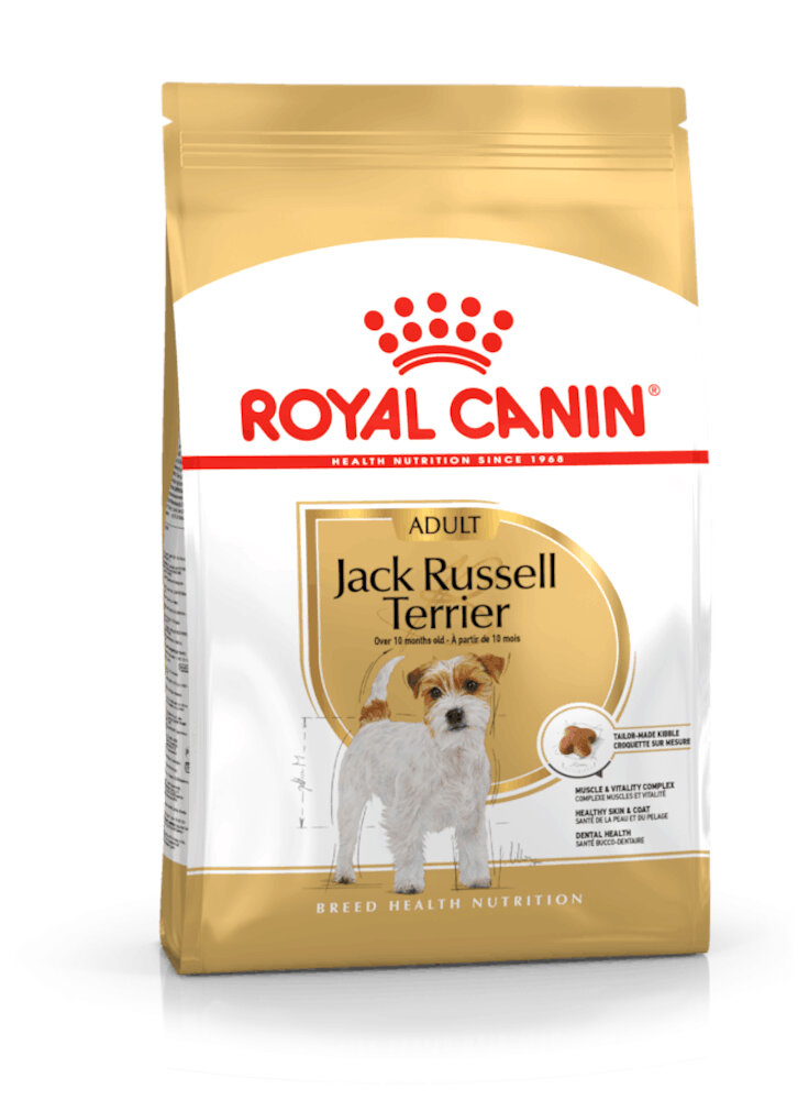 Jack Russell Royal Canin