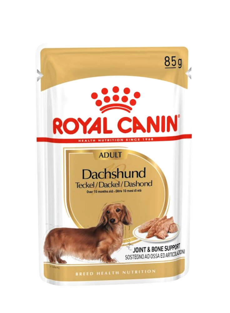 Bassotto DACHSHUND umido Royal Canin 12x85 gr