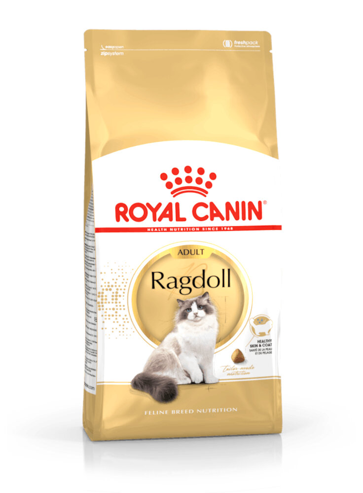 RAGDOLL Royal Canin