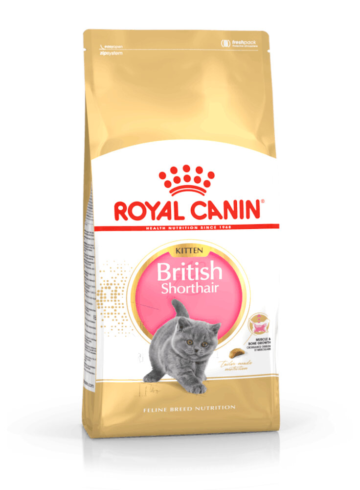 British Shorthair Kitten Royal Canin 2kg