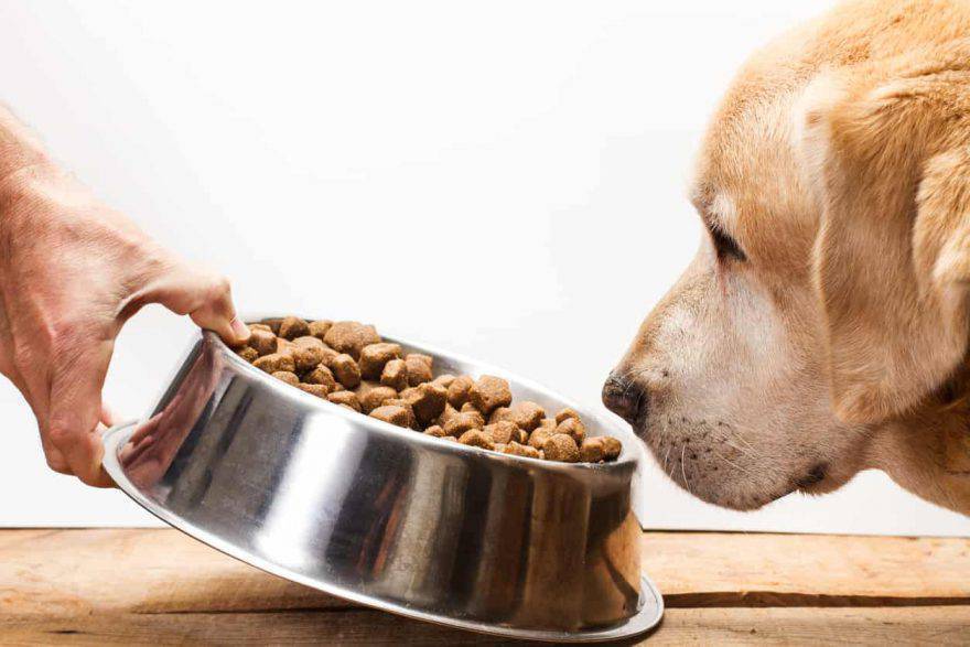 n&d Farmina Crocchette dog mini medium grain free puppy pollo e melograno 12kg