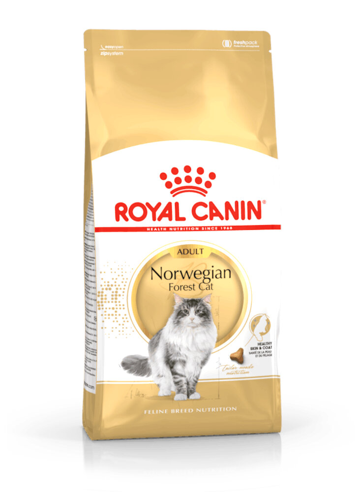 Norvegese delle foreste NORWEGIAN FOREST CAT Royal canin