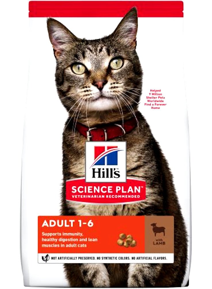 Hill's Gatti mangime alimento per gatti con adulti Agnello