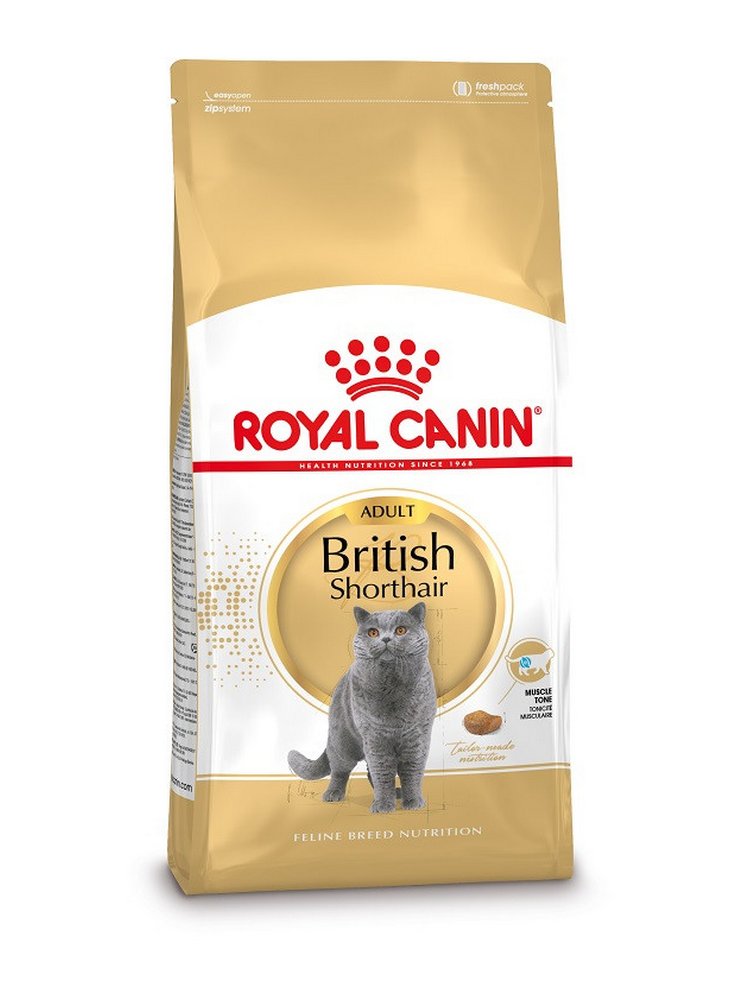 British Shorthair Royal Canin
