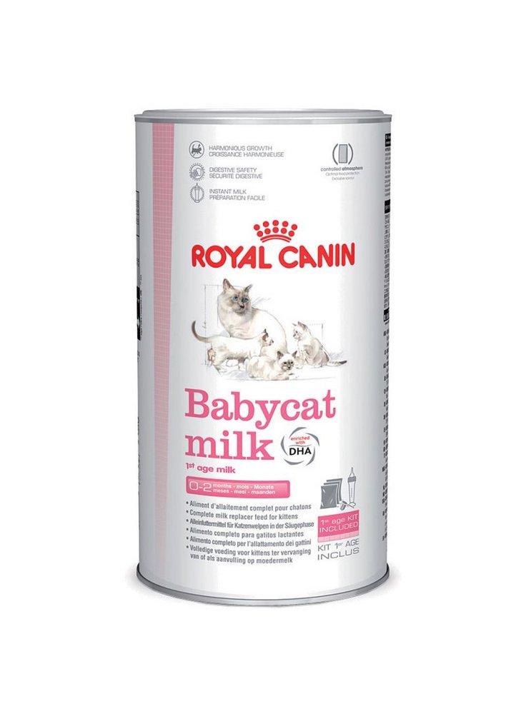 First Age Babycat Milk gatto Royal Canin 300 gr