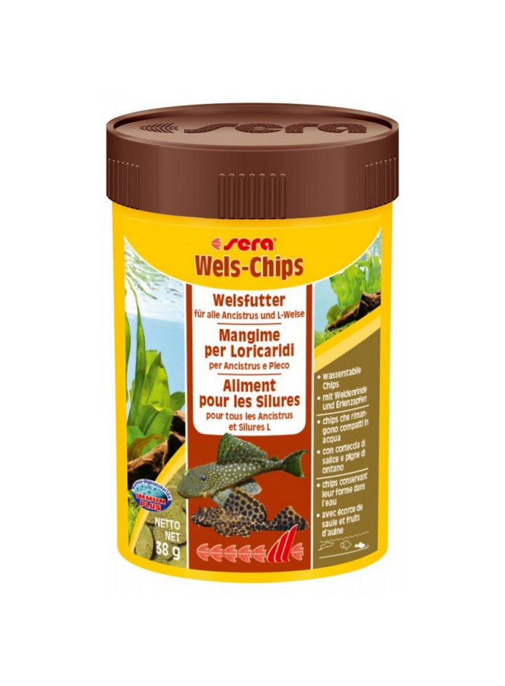 wels%20chips