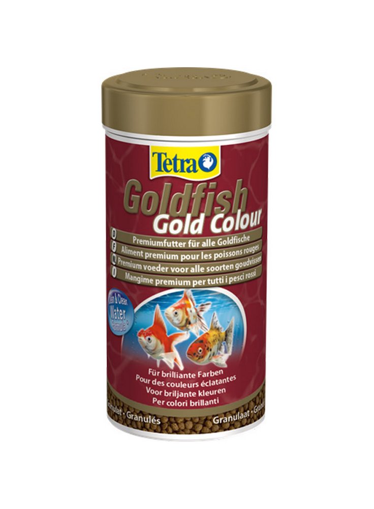Goldisfh_Gold_Color