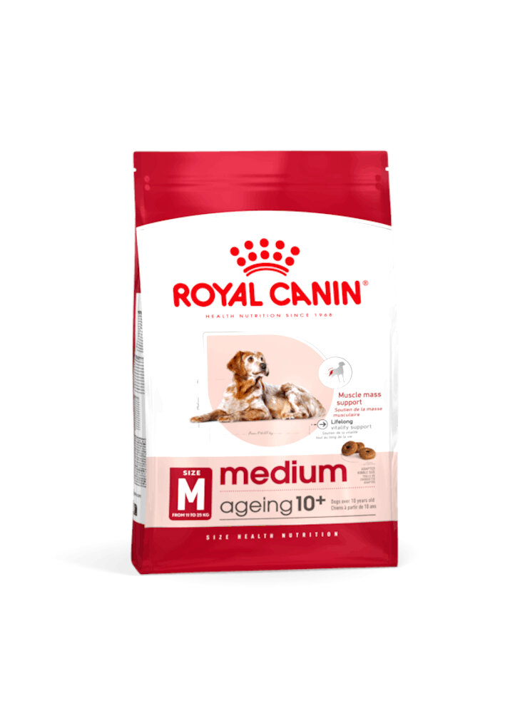 Medium ageing 10+ cane Royal canin