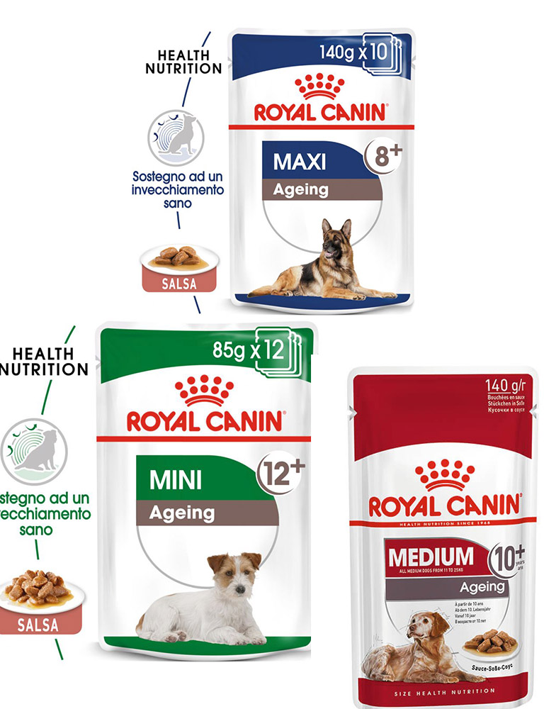 Ageing buste cane Royal Canin