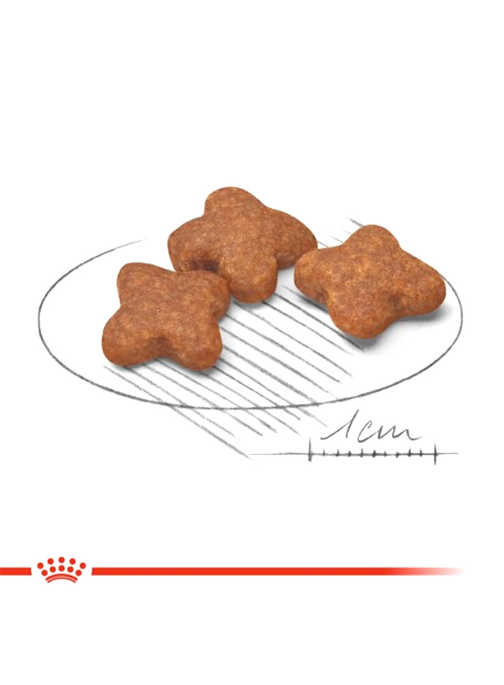 royal-canin-mini-mature-8%20%281%29