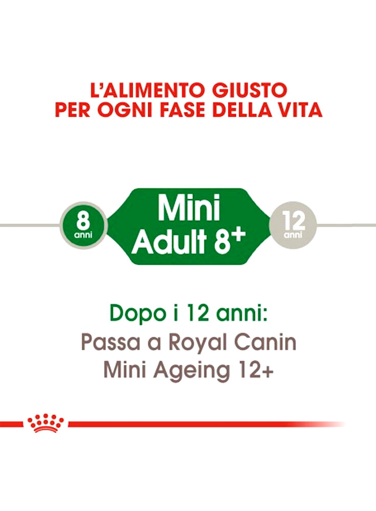 royal-canin-mini-mature-8%20%282%29
