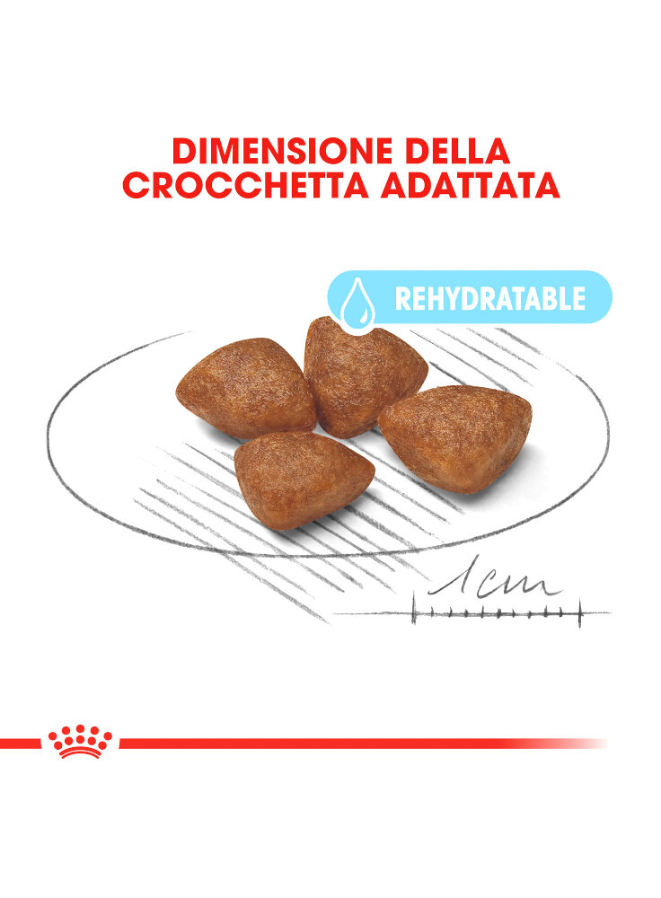 royal-canin-mini-starter-alimenti%20%282%29