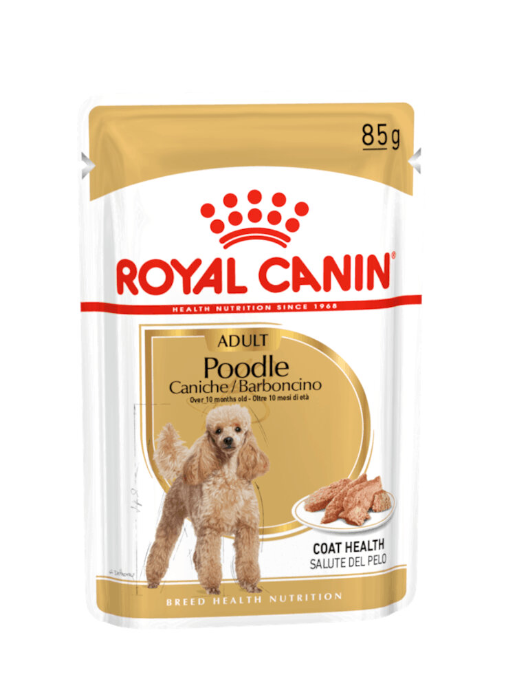 Barboncino POODLE umido Royal Canin 12x85 gr