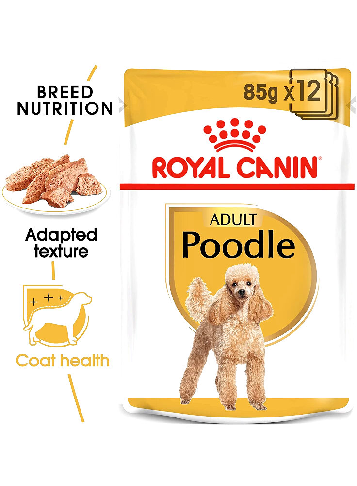 Barboncino POODLE umido Royal Canin 12x85 gr