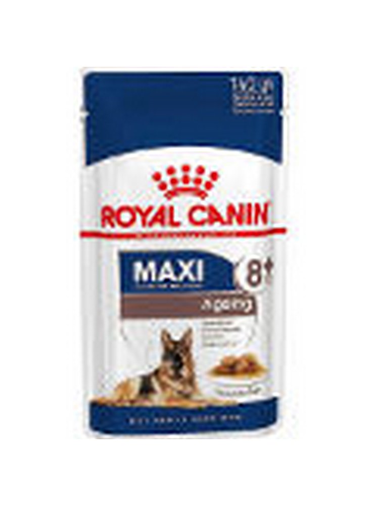 anteprima-royal-canin-maxi-ageing