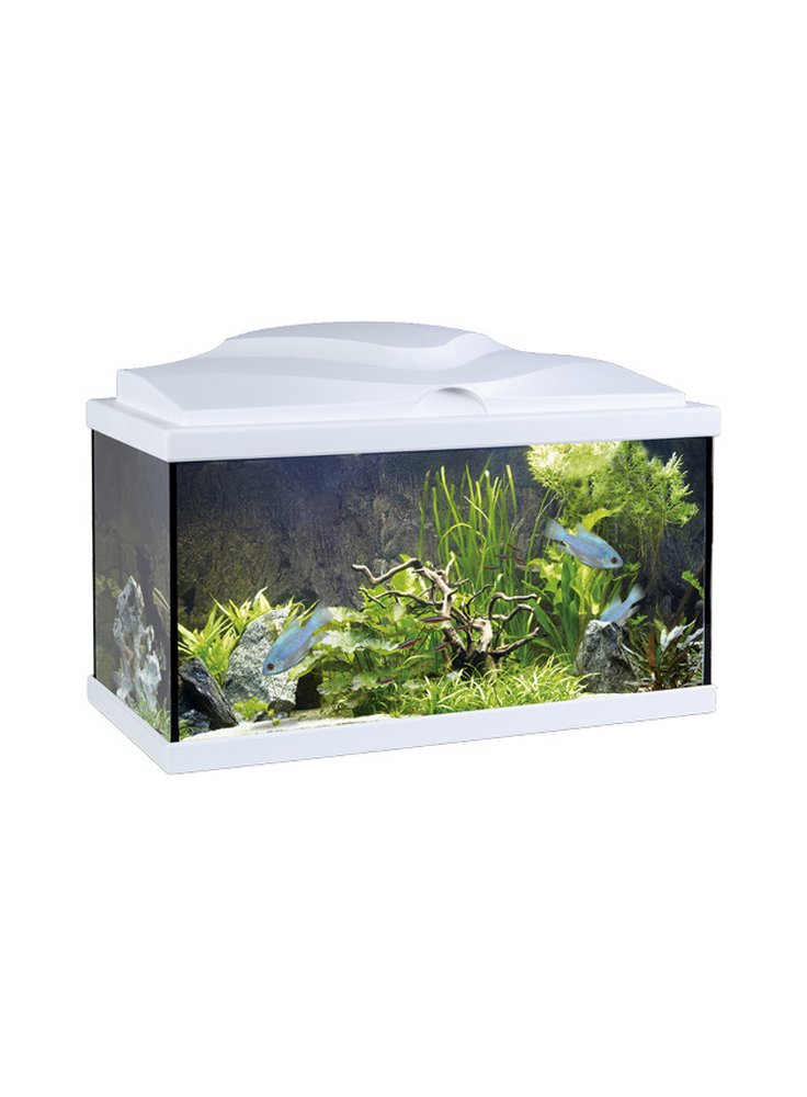 Acquario nuovo ambiente aqua 60 bianco o nero