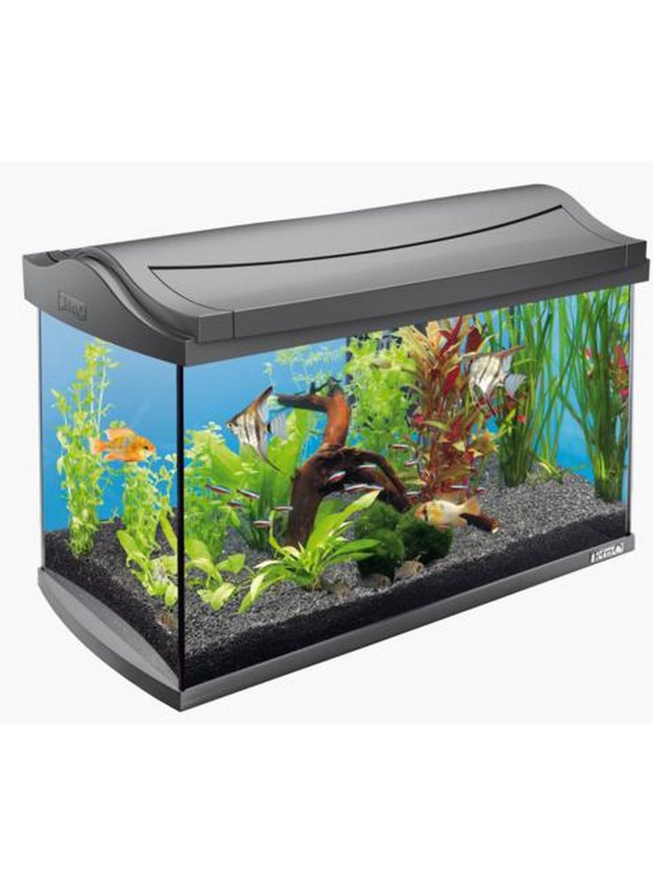 Acquario Tetra Aqua art led