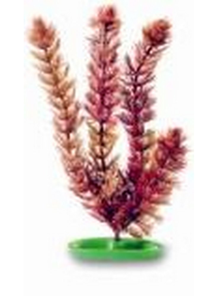 Pianta finta per acquario FOXTAIL cm20 AQUASCAPER PP-810
