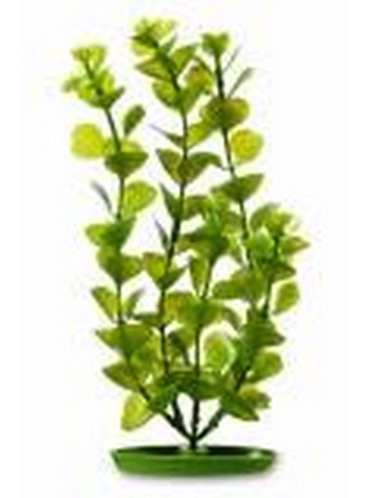 Pianta finta per acquario MONEYWORT AQUASCAPER cm30 PP-1216