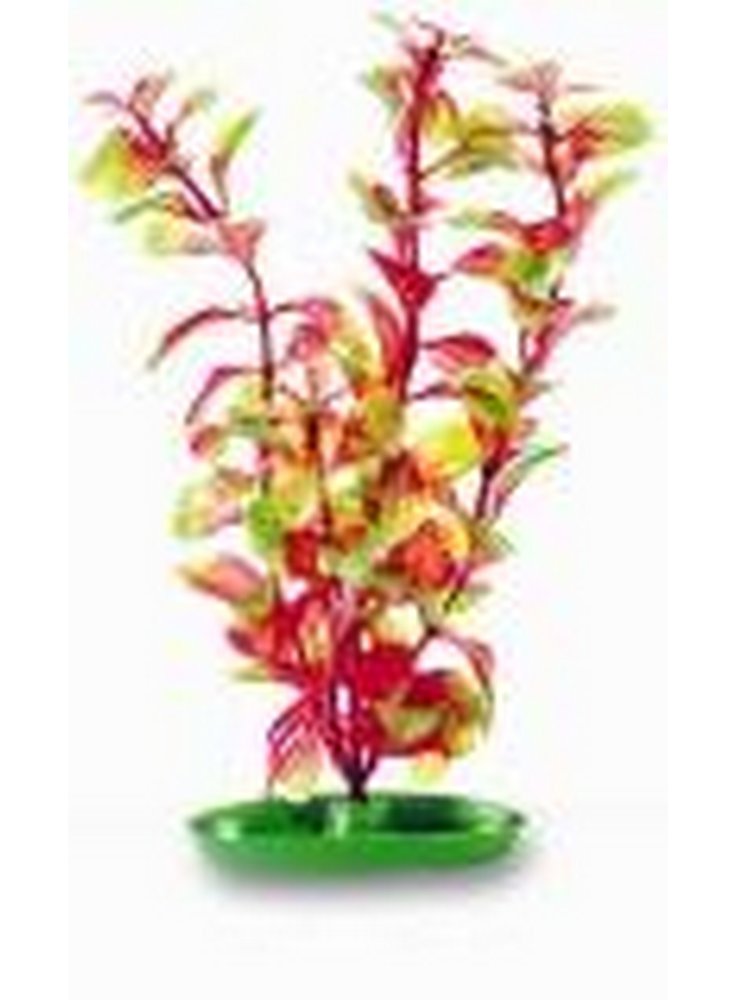 Pianta finta per acquario RED LUDWIGIA AQUASCAPER cm37,5 PP-1519
