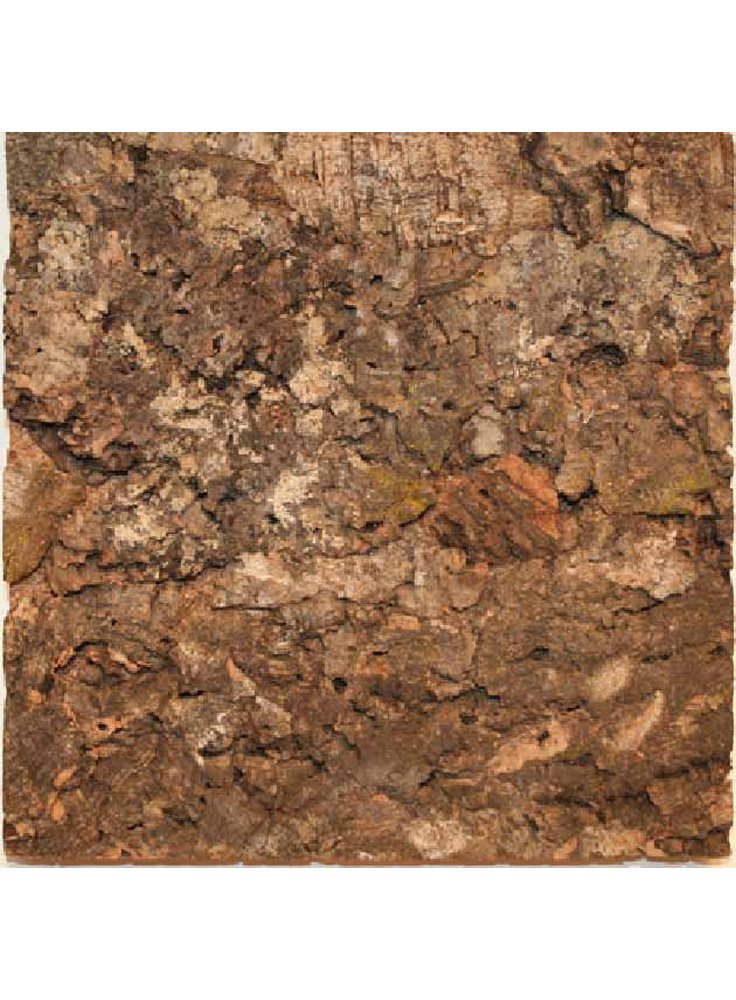 Sughero a pezzi cm 64x48