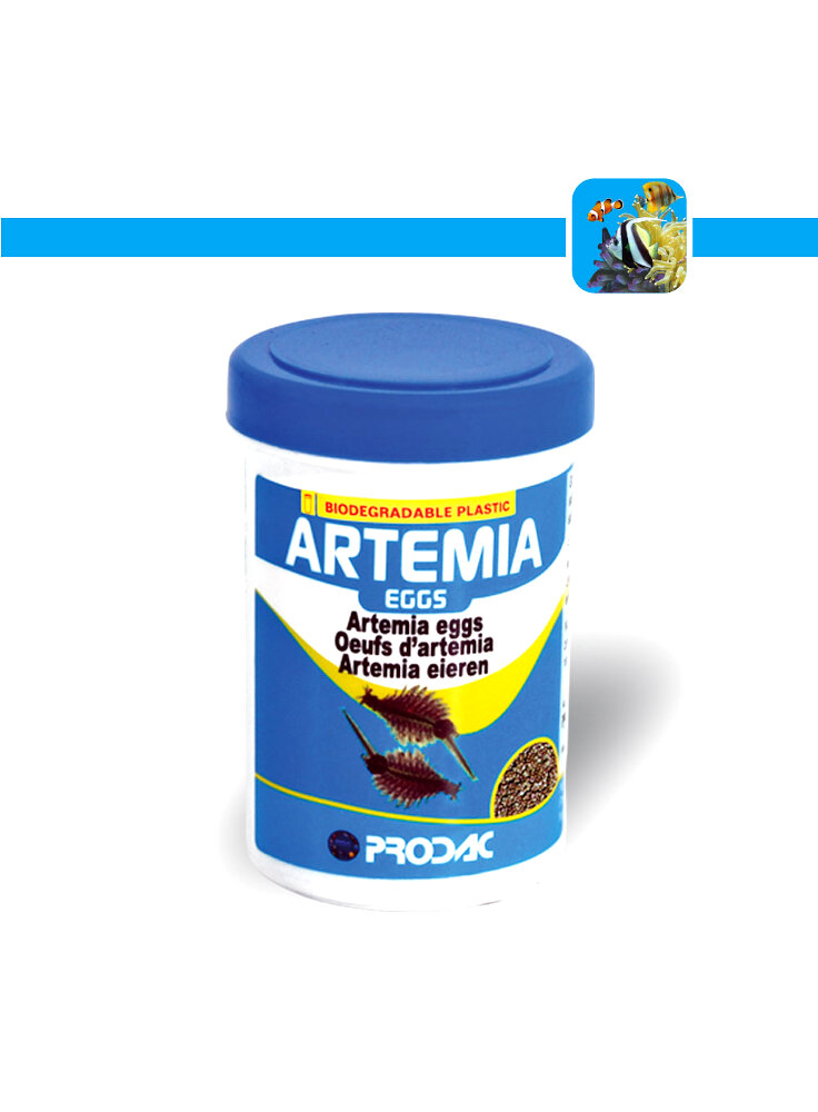 artemia-eggs-454-gr