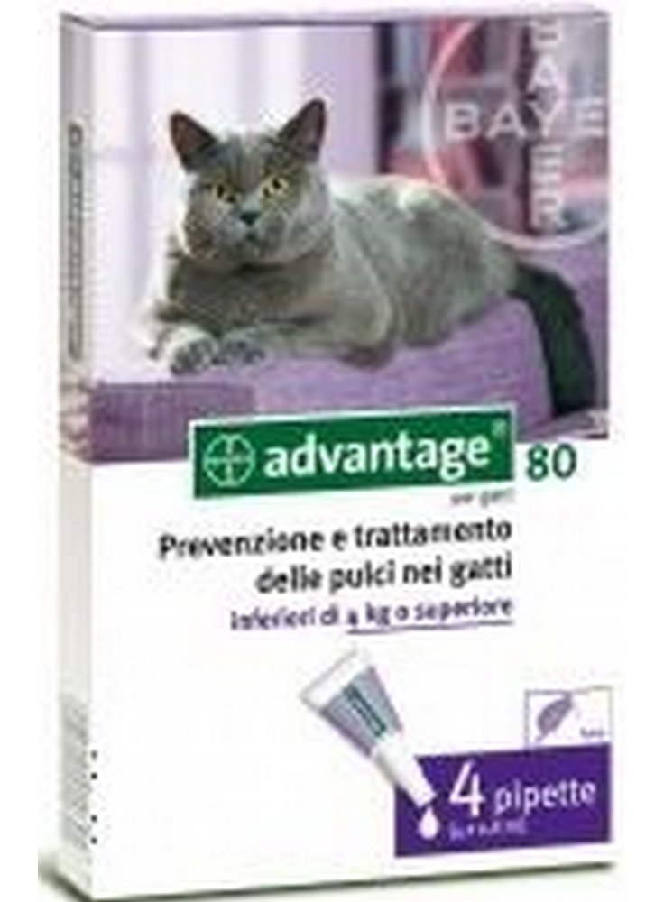 avantage80