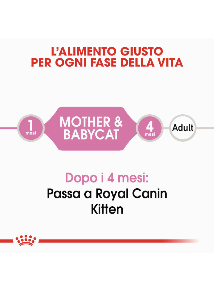 babycat-instinctive-royal-canin-195-gr-1