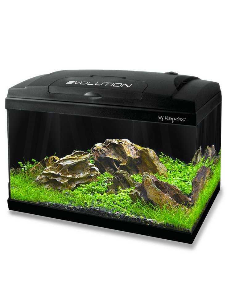HAQUOSS EVOLUTION 60 STARDUST LED - 60x30x45h cm- 52lt