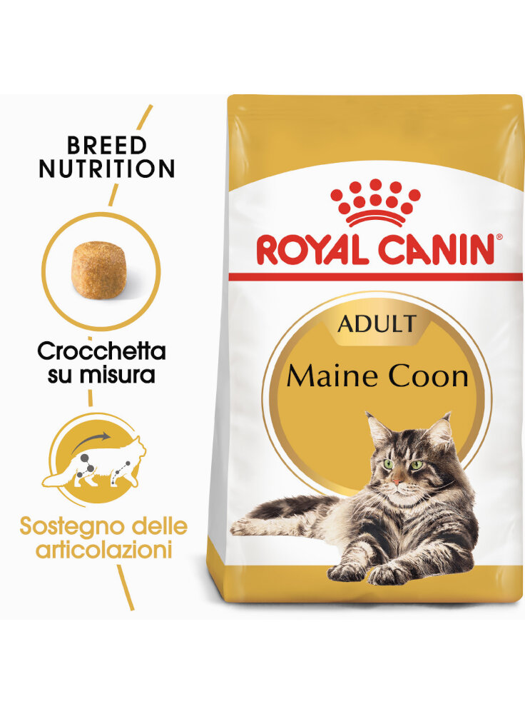 Maine Coon Royal Canin