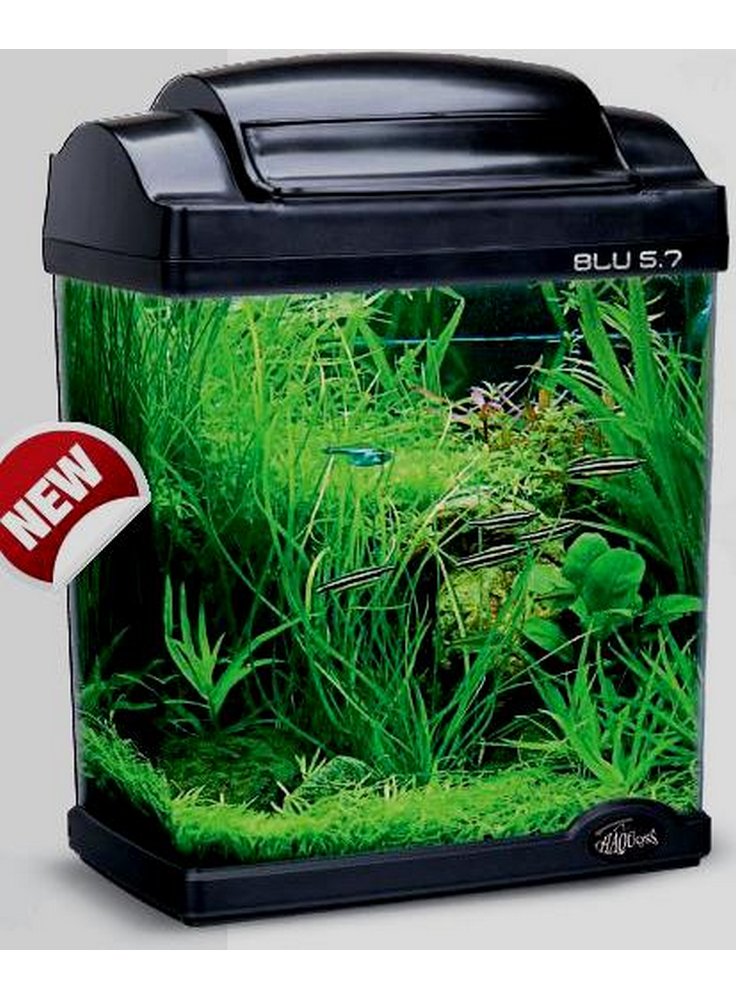 Acquario Blu 5.7 Haquoss 22.5x14.5x28.5h