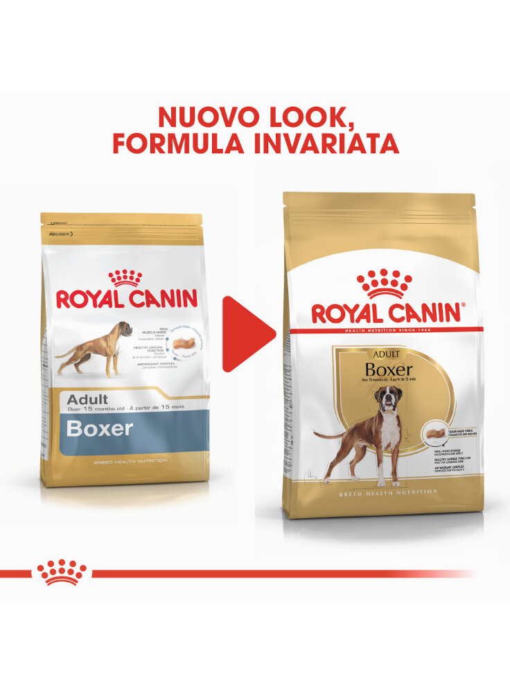 boxer-adult-royal-canin-4