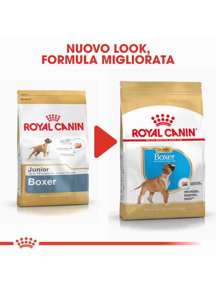 boxer-puppy-royal-canin-6