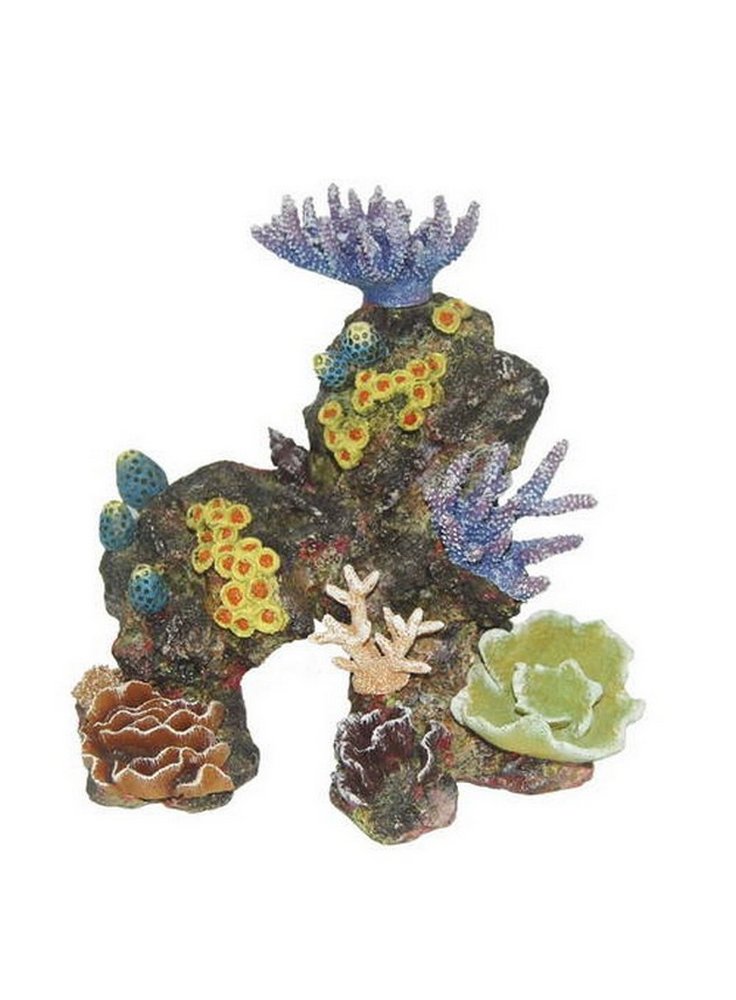 Haquoss REEF DREAM 14