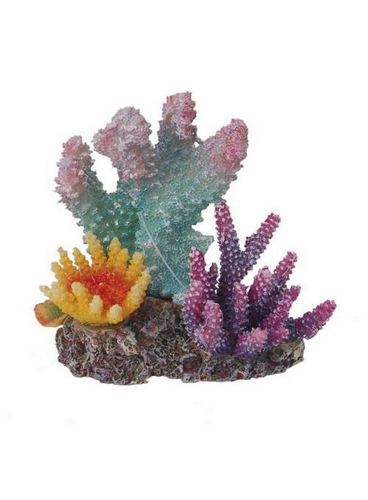 Haquoss REEF DREAM 2