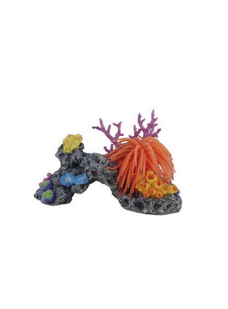 Haquoss REEF FANTASY 1
