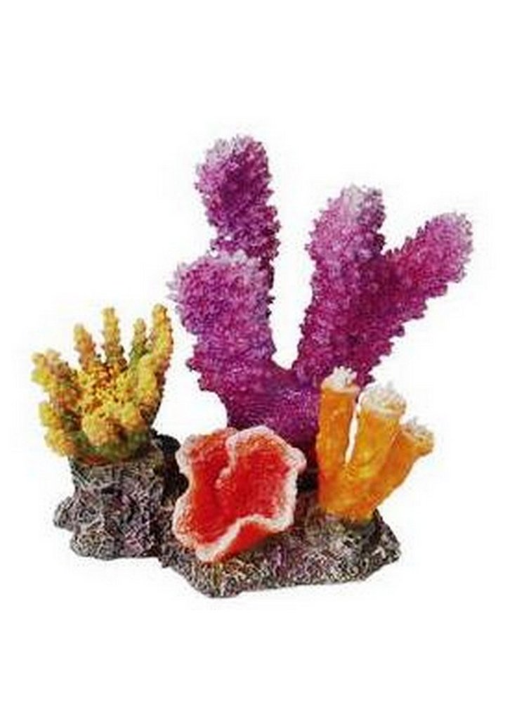 Haquoss REEF DREAM 5