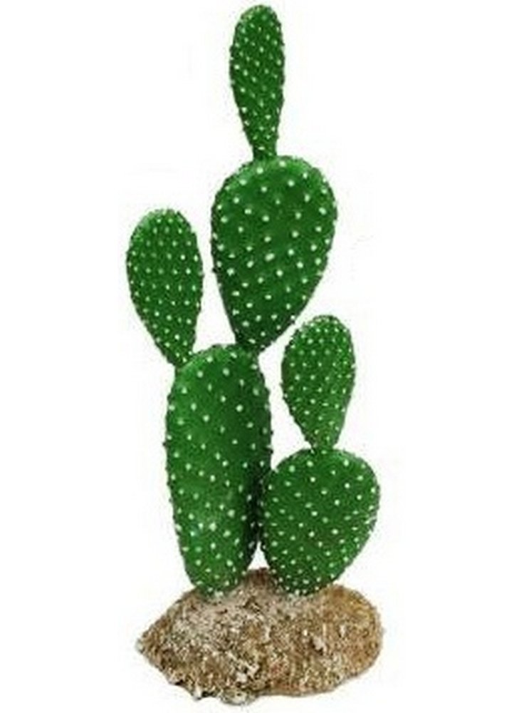 Haquoss decorazione cactus 2