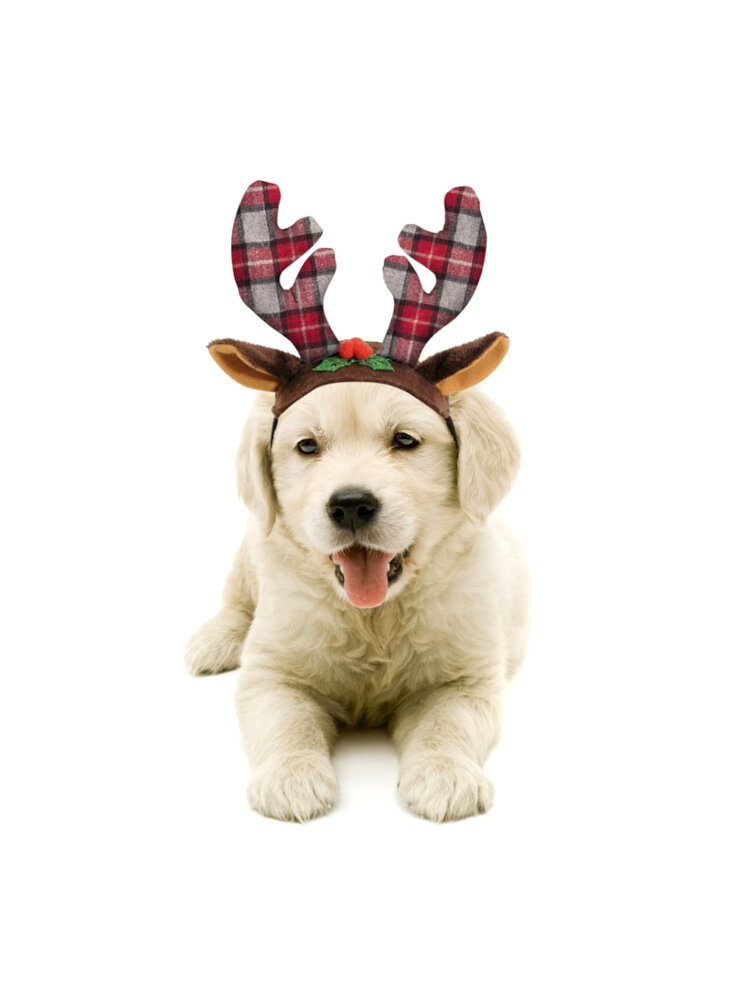 camon-accessori-natalizi-per-cane-renna-taglia-m-l