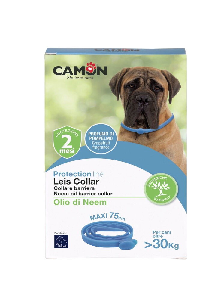 COLLARE%20LEIS%20CANE%2075CM%20MAXI