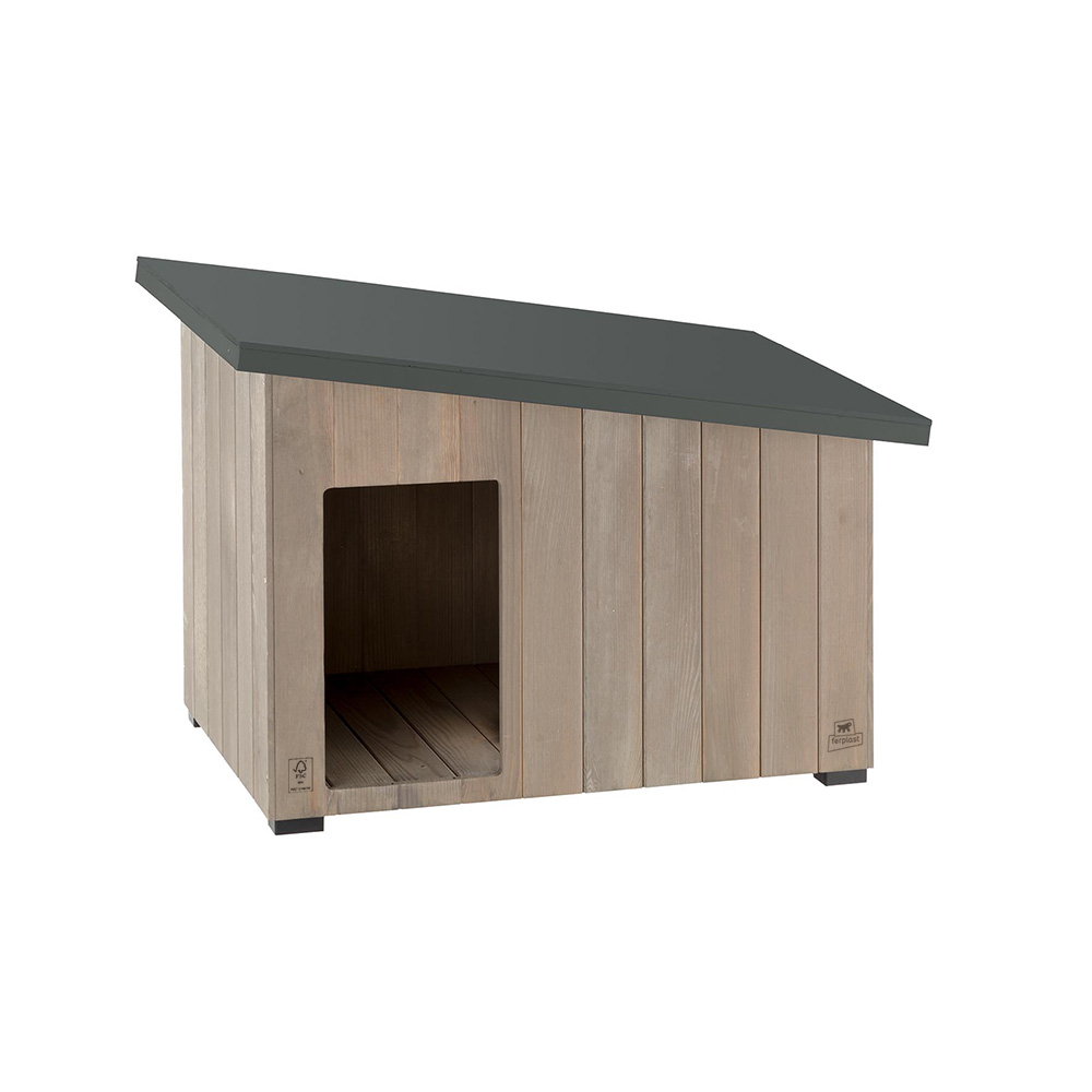 canile-argo-60