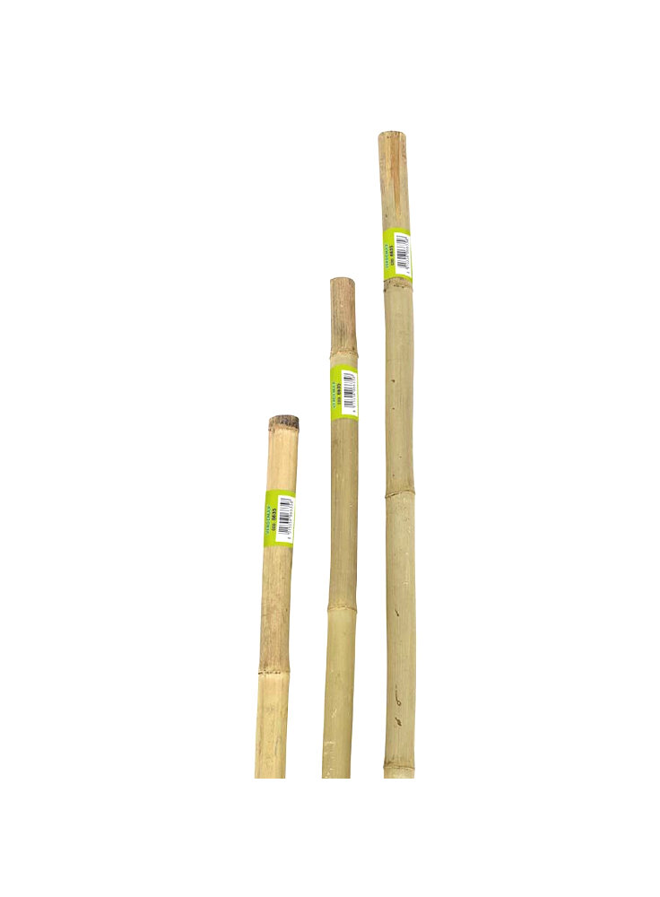 Canna bamboo serie pesante