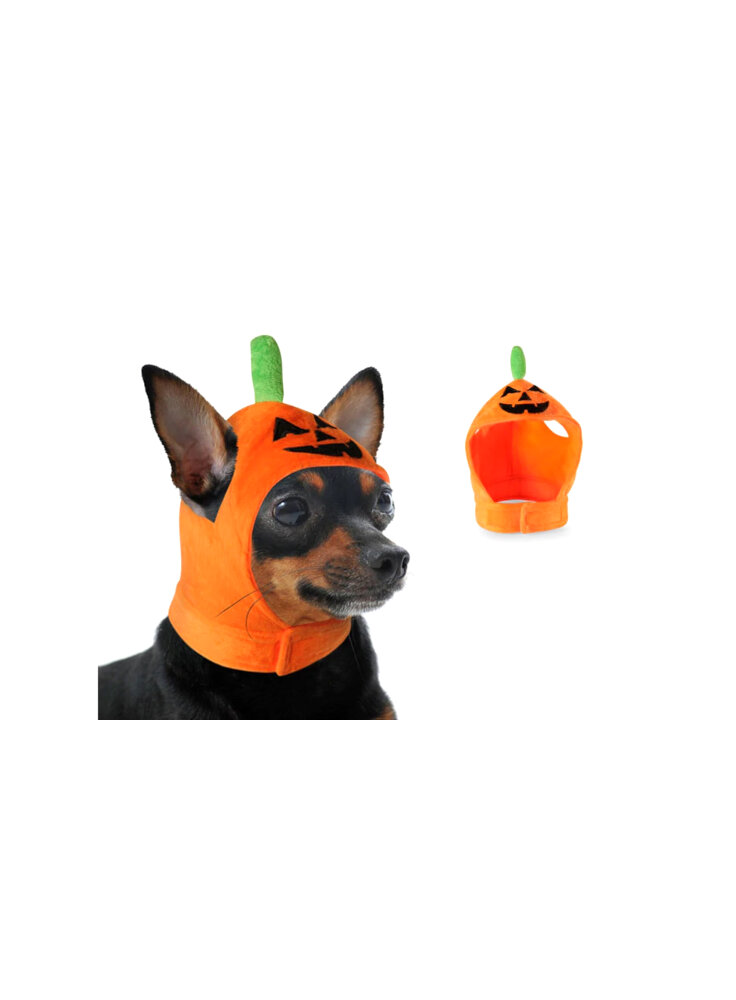 Cappello Hallowen per cani