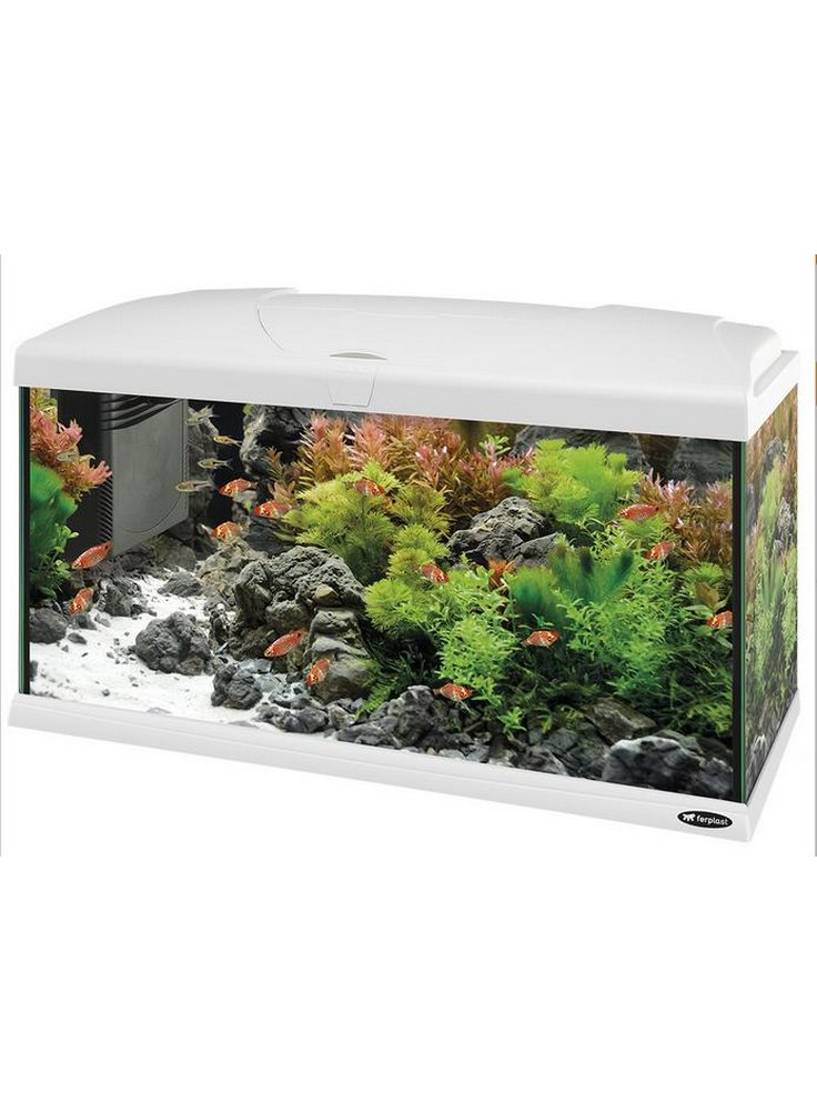 Acquario capri bianco 80 expo con allestimeno