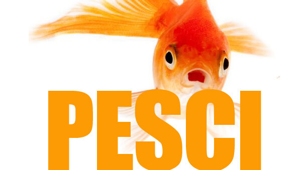 Pesci