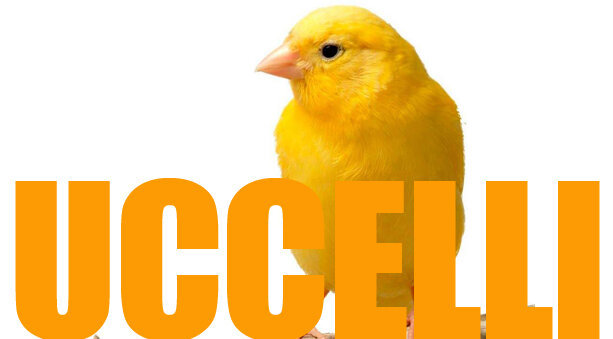 Uccelli