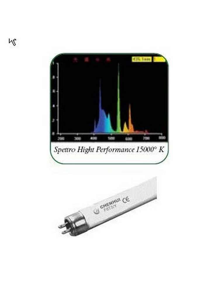 LAMPADA CH T5 24 W 15.000 KL HIGHT PERFORMANCE