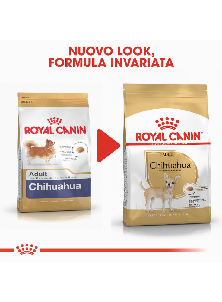 chihuahua-adult-royal-canin-4